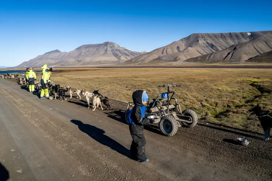 Špicberky - Husky spřežení