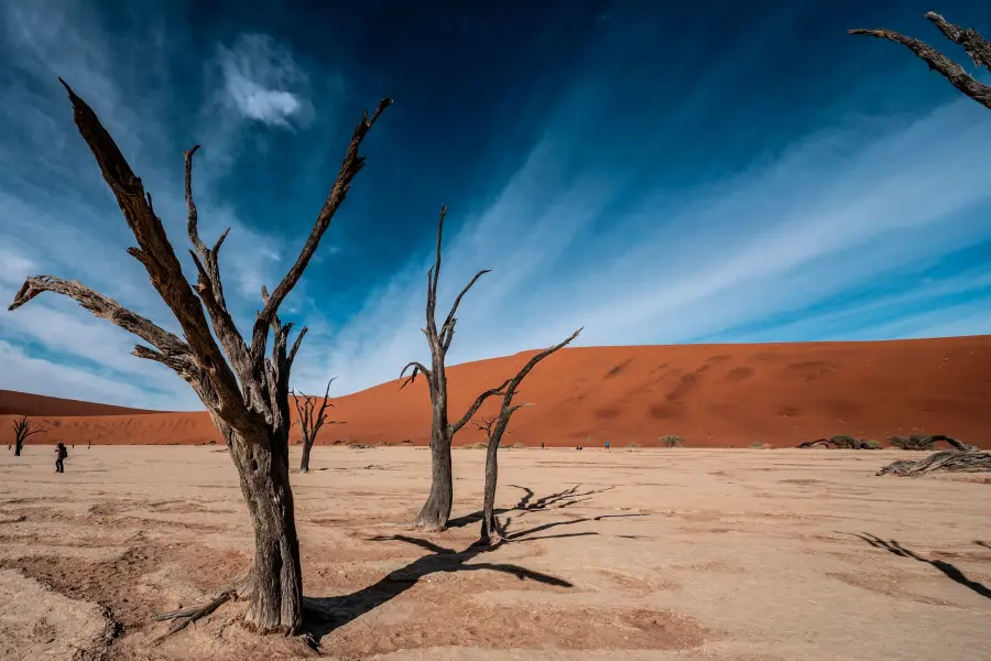 Namibie - Deadvlei