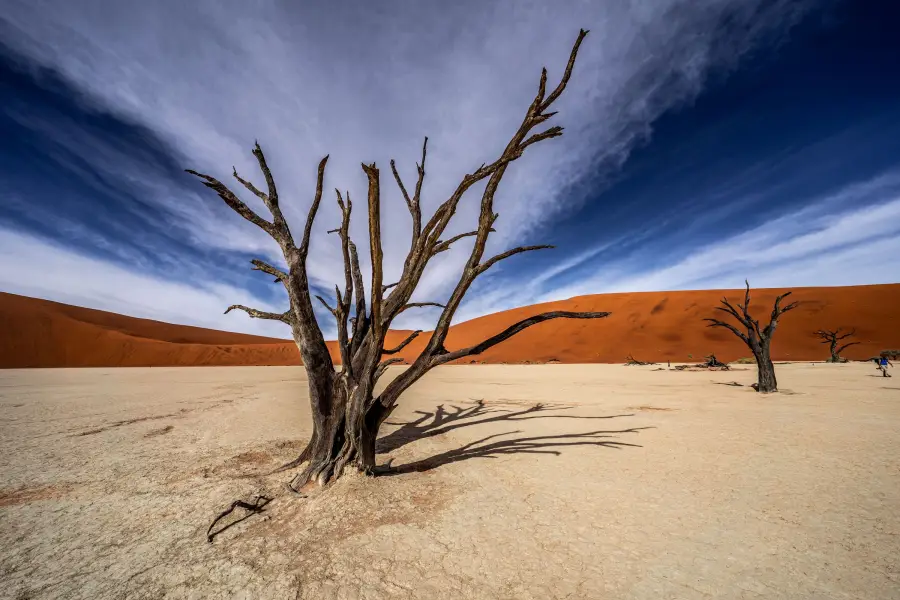 Namibie - Deadvlei