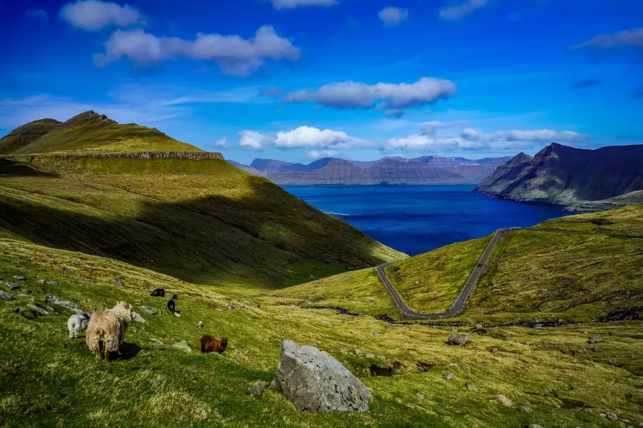 Faerské ostrovy – Ráj ovcí